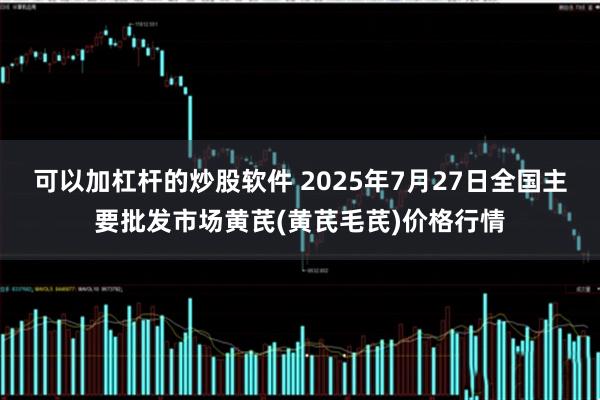 可以加杠杆的炒股软件 2025年7月27日全国主要批发市场黄芪(黄芪毛芪)价格行情